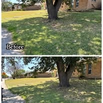 Clean concrete walkway after power washing service